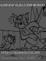Tom und Jerry (10)